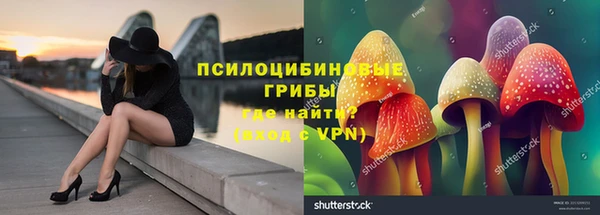 таблы Горняк