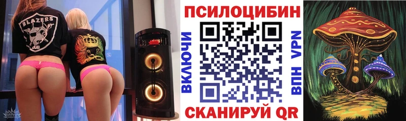 ссылка на мегу зеркало  Петушки  Псилоцибиновые грибы Magic Shrooms 